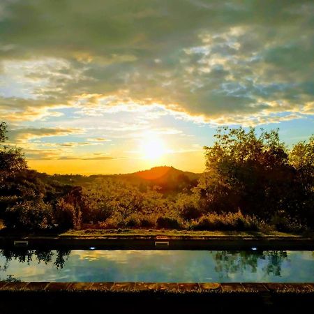 Poderi In Chianti Tavarnelle Val di Pesa エクステリア 写真