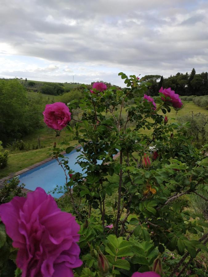 Poderi In Chianti Tavarnelle Val di Pesa エクステリア 写真